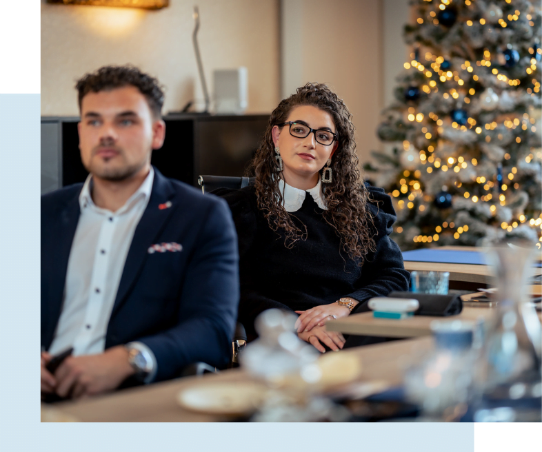 ondernemersvoornemens